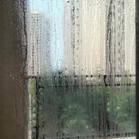 南方冬季为何总要除湿，这种普遍现象由哪些气候因素导致？