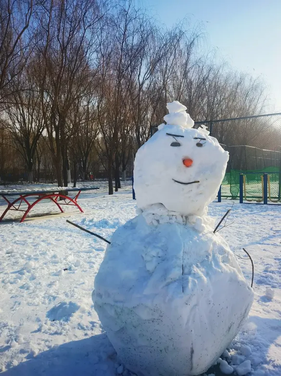 南方的宝子，东北玩雪坐标沈阳听劝这些攻略