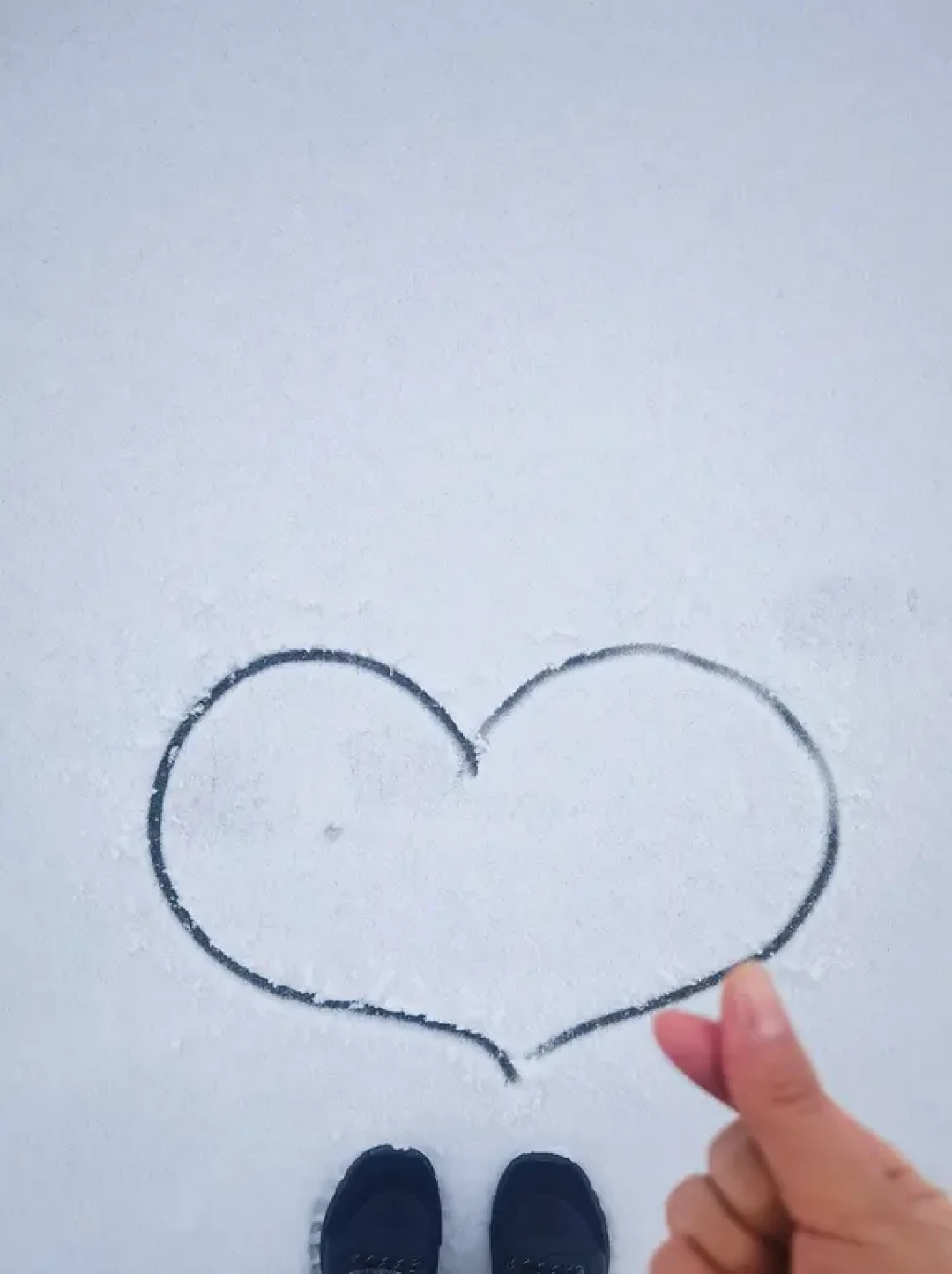南方的宝子，东北玩雪坐标沈阳听劝这些攻略