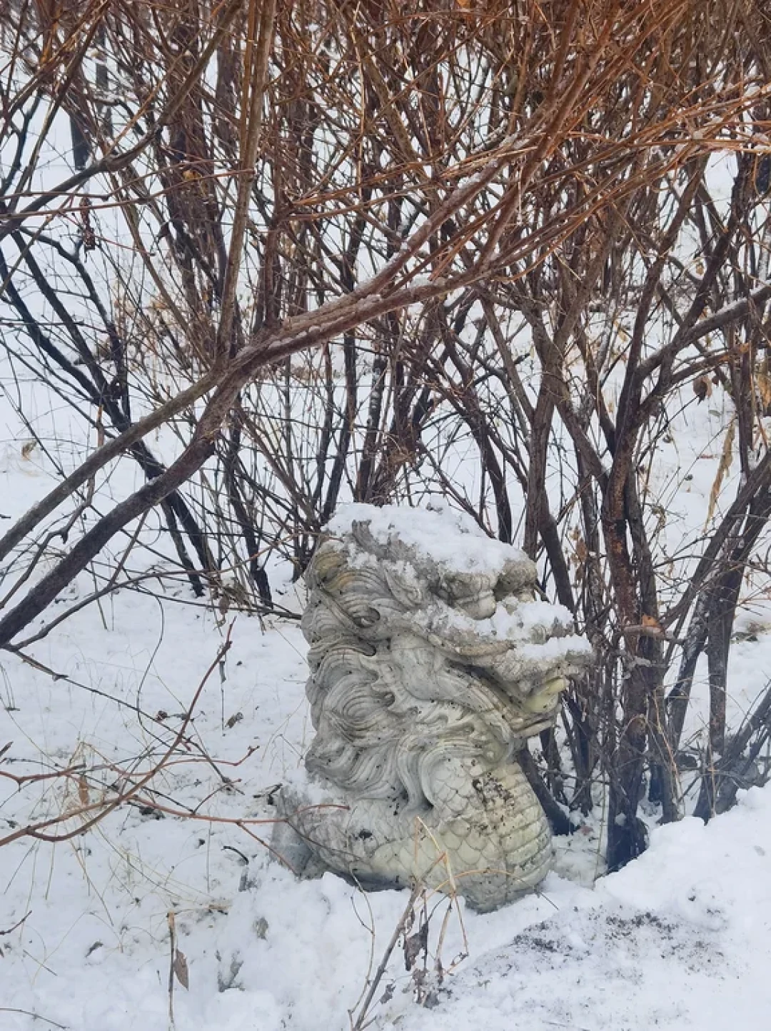 南方的宝子，东北玩雪坐标沈阳听劝这些攻略