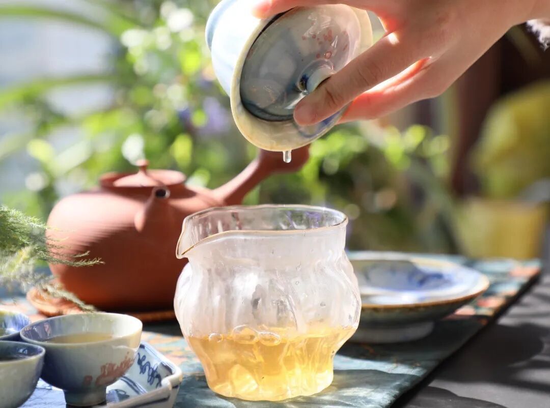 一盏雪片玉兰:冬日的清雅兰香