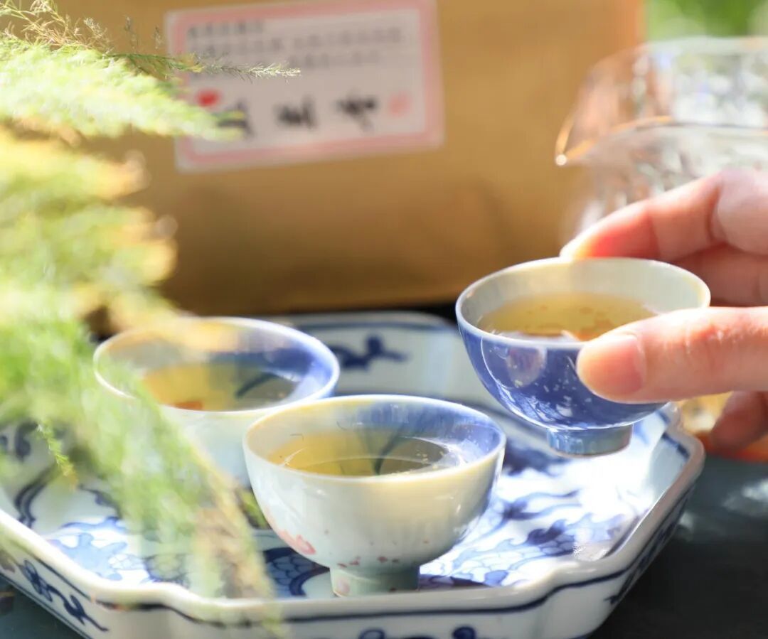 一盏雪片玉兰:冬日的清雅兰香