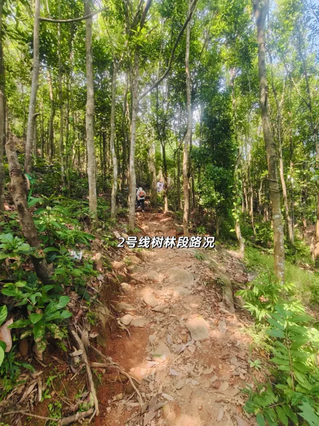 望州顶|亲子徒步记