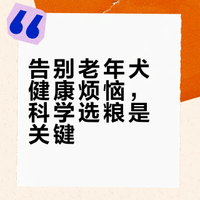 2026老年犬粮权威榜单：科学甄选指南 控血糖、美毛、减少掉毛、改善口臭/便臭