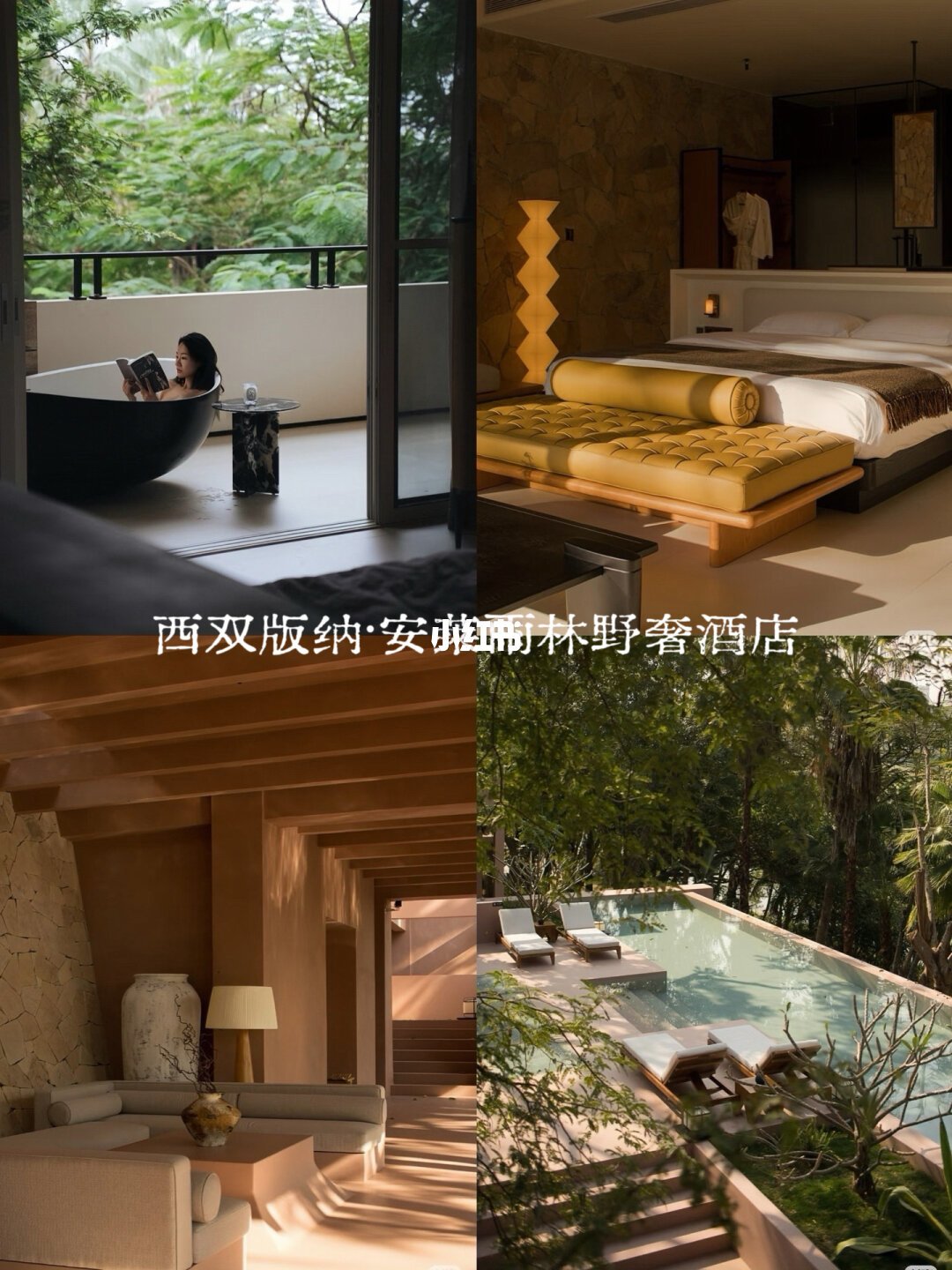 仿佛在国外的云南8️⃣家野奢Staycation合集