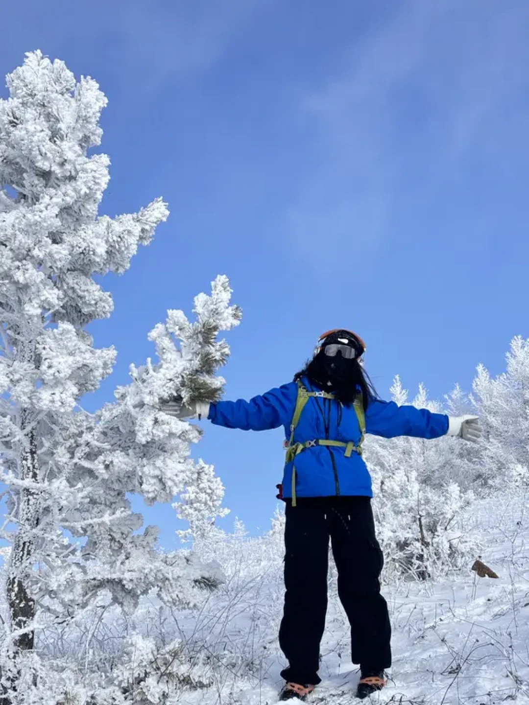 12.13桦皮岭新雪❄️值得一去 冲就是完事