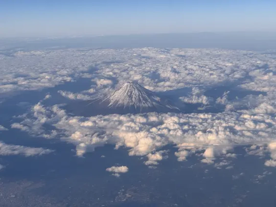 ✈️全日空NH475丨514座的老飞机飞行体验