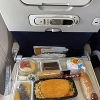 小众猎奇体验国际航班上的犹太教餐