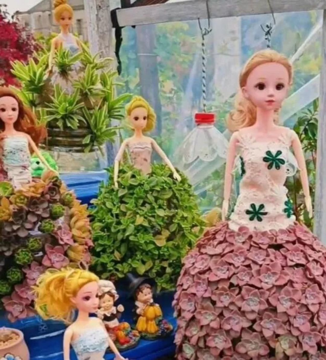 浙江一位小姐姐火了,用矿泉水瓶养多肉,网友:妥妥的视觉盛宴