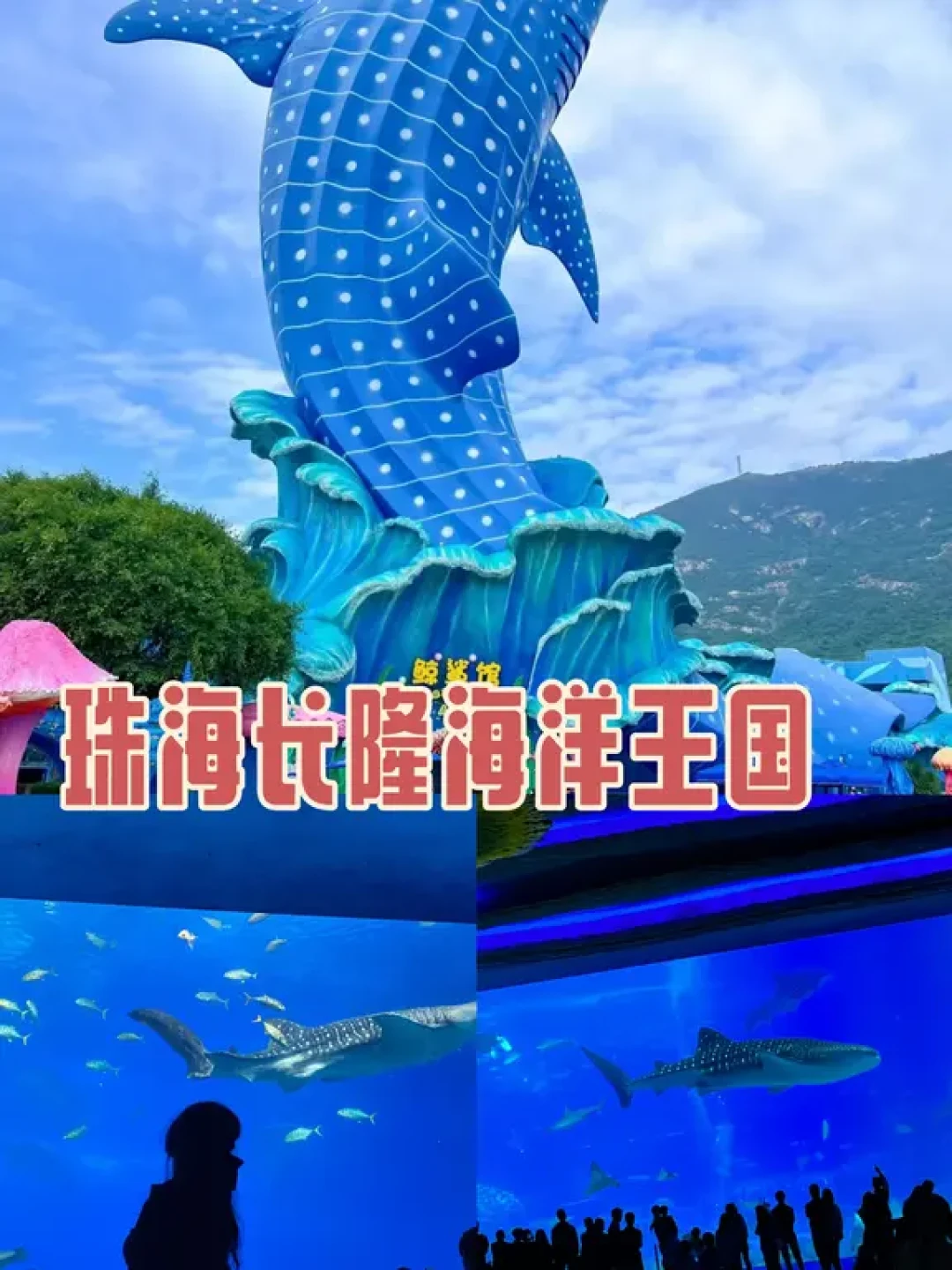珠海横琴一日游