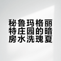 Nam·é🇵🇪La Margarita暗房水洗Geisha