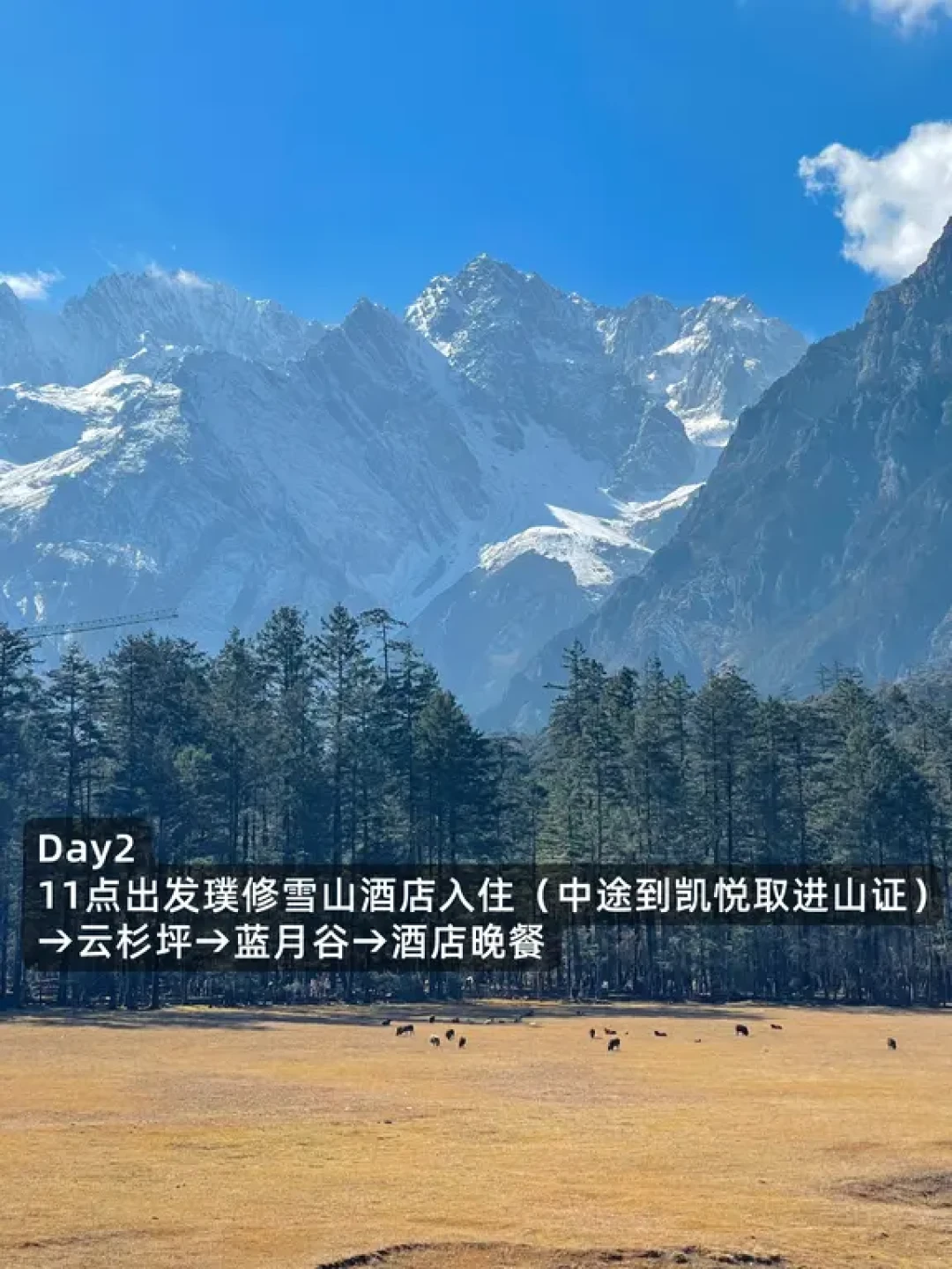 懒人抄作业!对自己的丽江攻略满意到睡不着