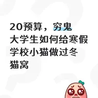 如何给寒假学校小猫做过冬猫窝