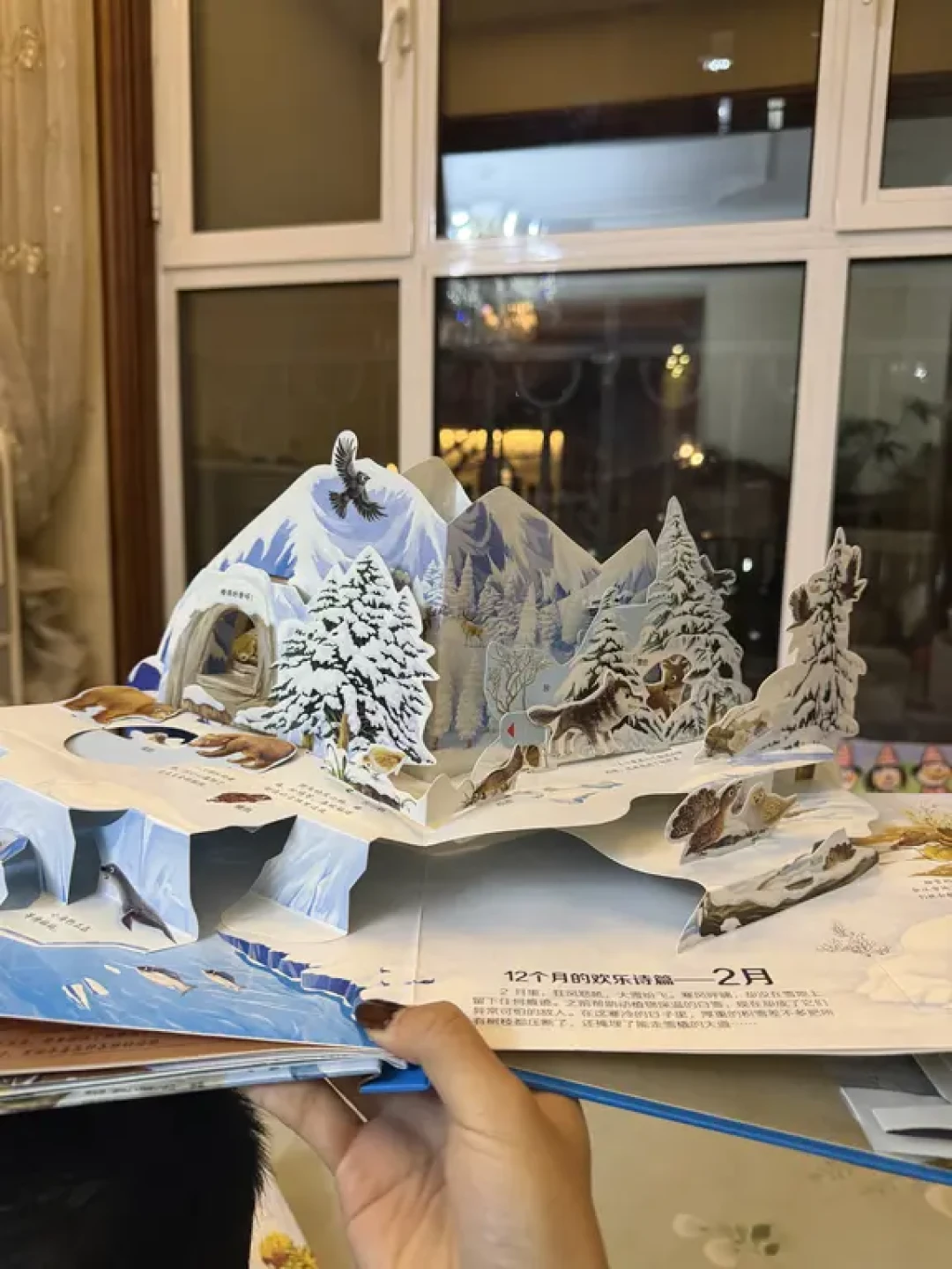分享一套自然读物立体书绘本:《森林报》