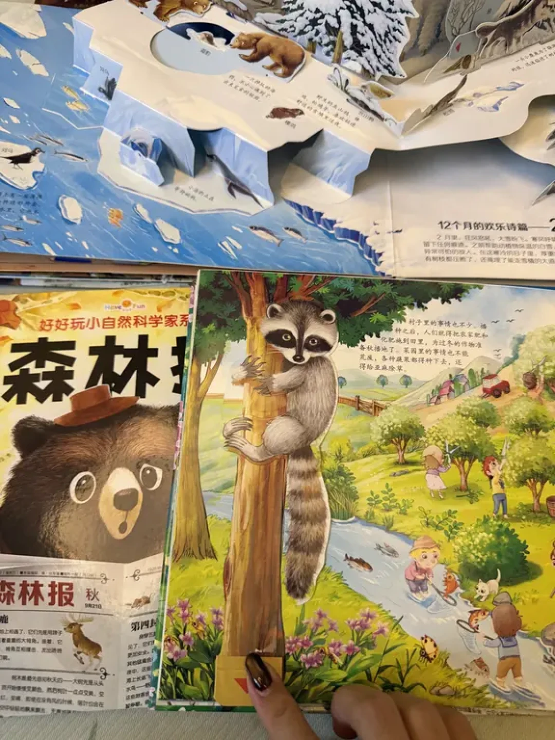 分享一套自然读物立体书绘本:《森林报》