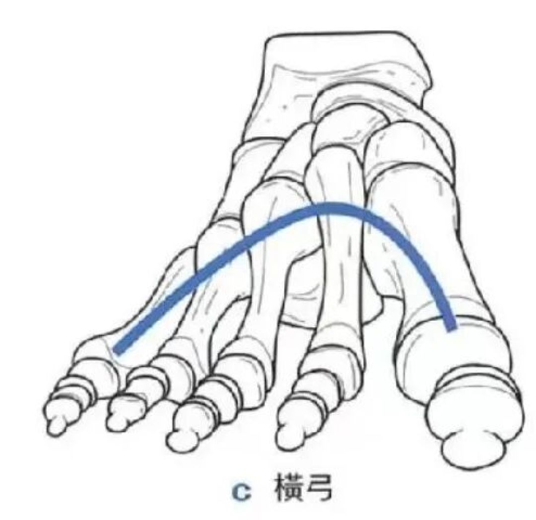 腿型好不好,关键看“足弓”!普拉提这样练,养出笔直长腿