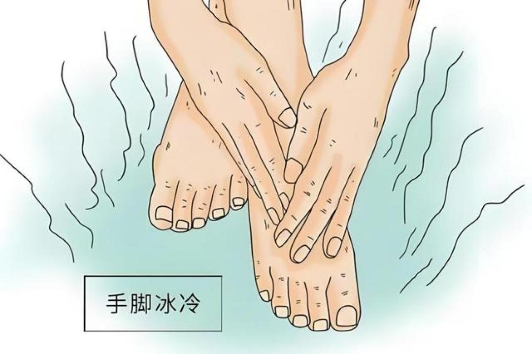 阳气不足的人，冬天多吃3种食物！坚持1个冬天，阳气足湿气没了