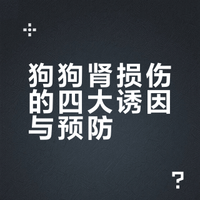 狗狗为什么会有肾损伤？？如何预防