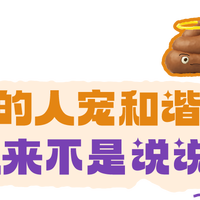 “建议，所有深圳养宠人都看一下！”