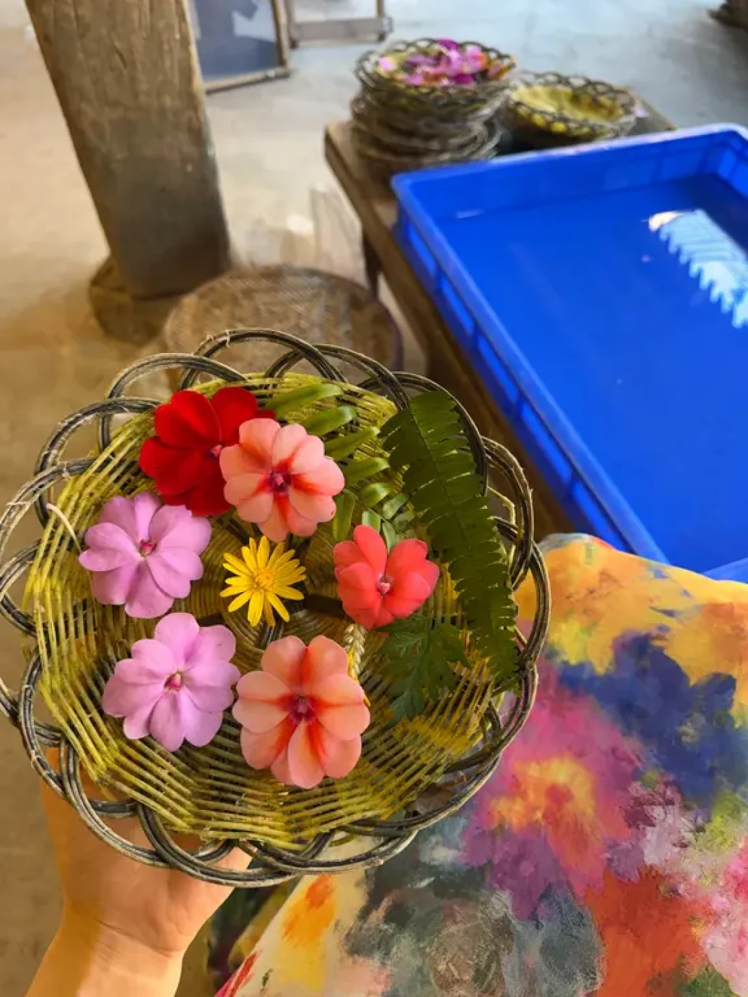 西双版纳|在曼掌村的下午🌺