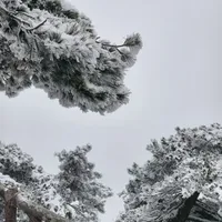 黄山三日攻略⛰️（下雪版）