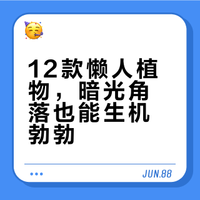 速看新手也能养活！不需要阳光的12款植物
