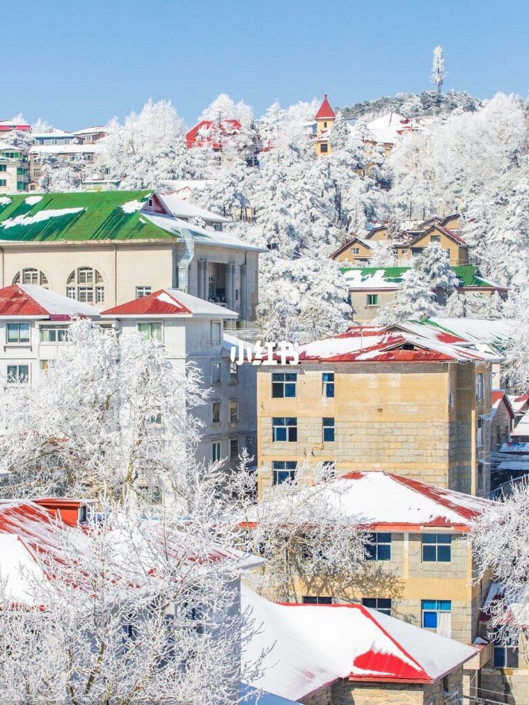 最快1.5h到！推荐6个广东娃高性价比赏雪地