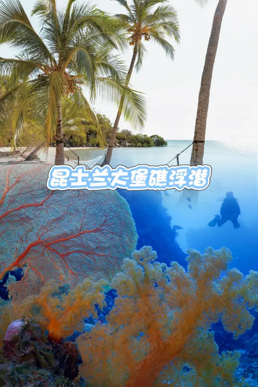 春节限定：在澳大利亚过中国年超有趣