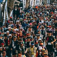 极度数据｜当国产品牌不再只是「追赶者」