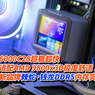 6000C28超稳超快，配AMD9800x3D极度舒适，棘蛇·钱龙DDR5内存实测