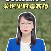 央视曝光！小心你家买的菜打了毒农药 #个别菜商违规使用含毒农药 #新闻侠 #媒体精选计划 #抖音热评