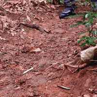 舒适低调不磨脚，细雨中这双鞋救了我的湿滑山径路线