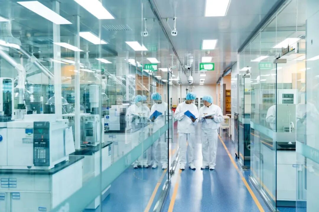揭秘飞鹤成功之道:“笨功夫”成就长期主义