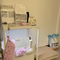 分享一个非常实用的猫咪出恭角落