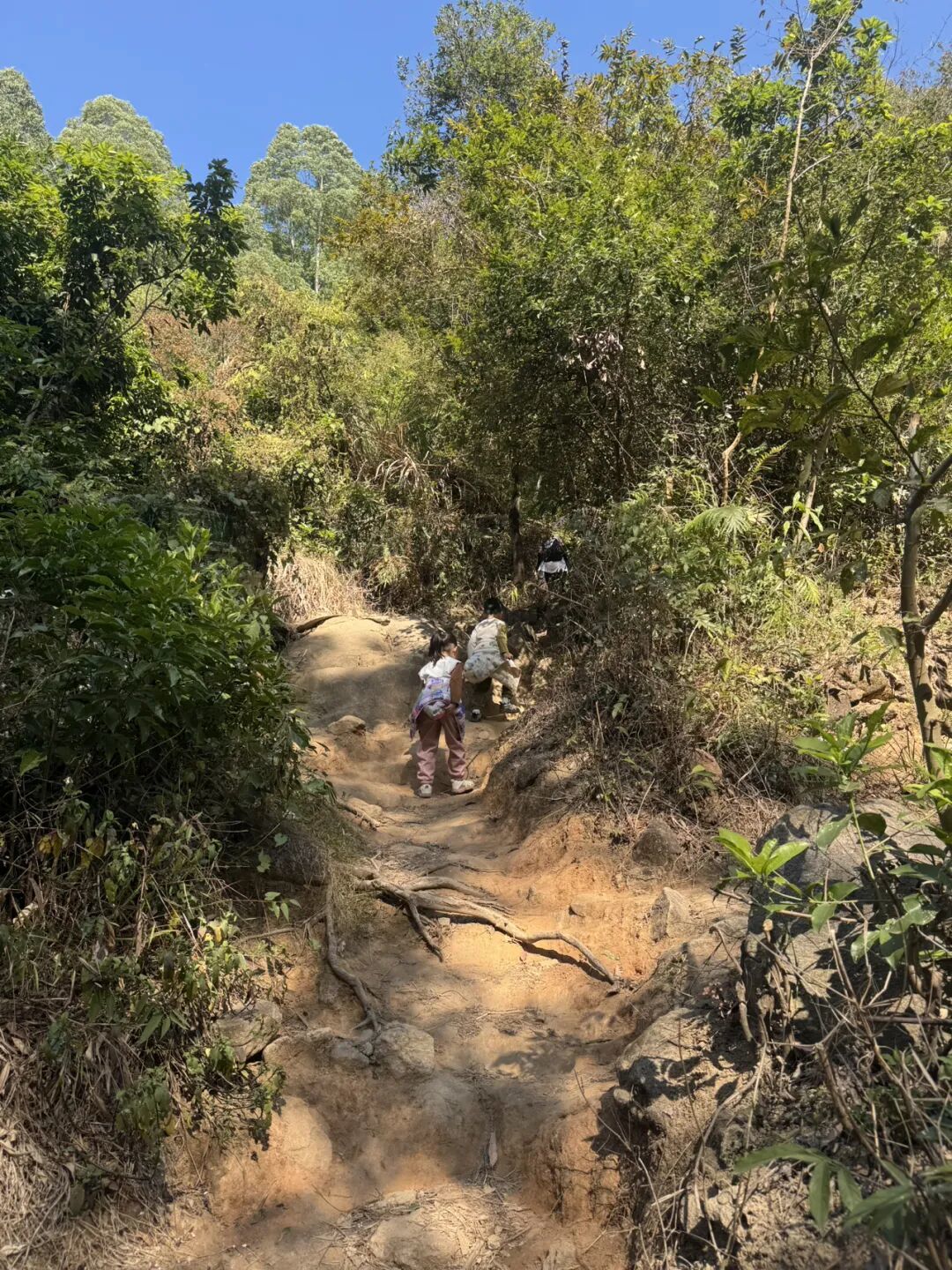 告别休闲步道!黄埔牛头山-乌石山8公里环线,亲子徒步进阶挑战走起