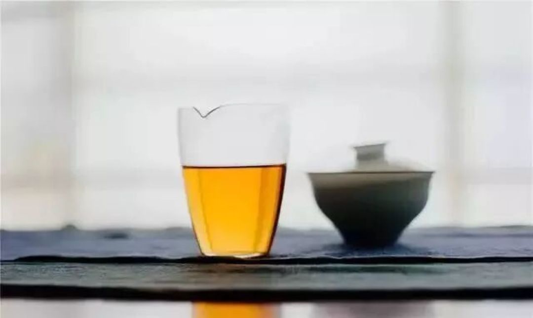 要想白茶成宝,离这六个错误越远越好!