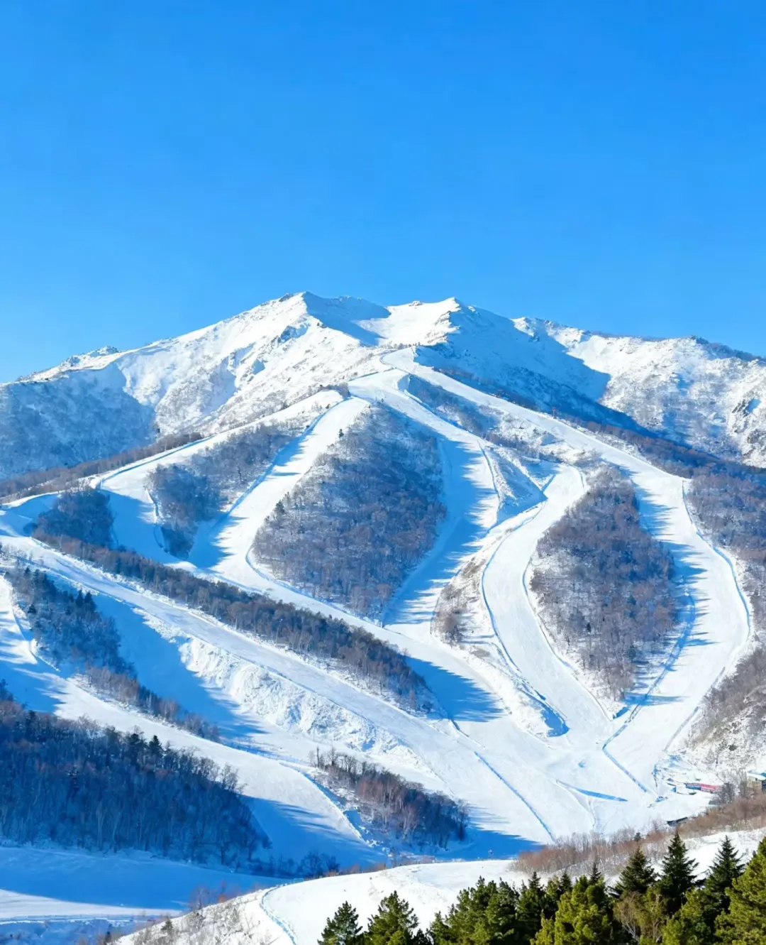 国内滑雪终极Pick!从粉雪天堂到冬奥同款让冬天不白过!