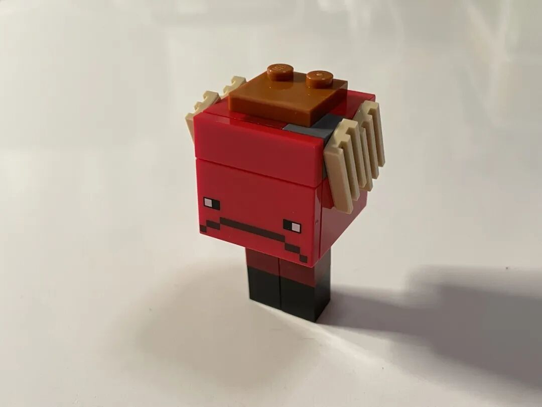 [LEGO]乐高21266下界熔岩湖之战测评