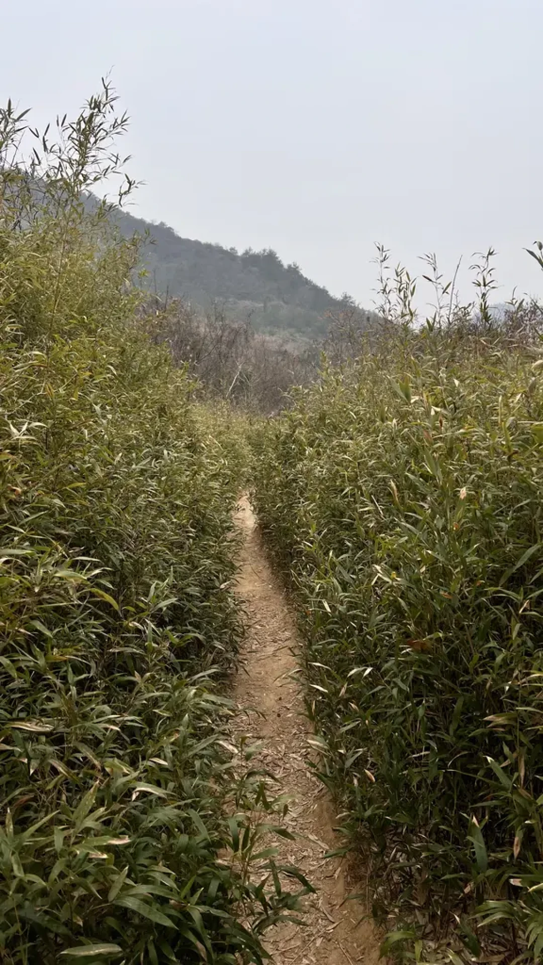 吴中十峰,说走就走,太虐了