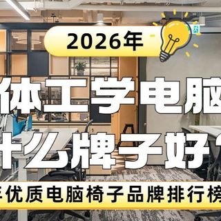 人体工学电脑椅什么牌子好？2026年优质电脑椅子品牌排行榜前十名