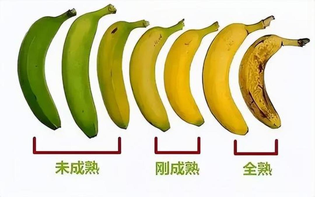 香蕉饮品复兴的“黄金经济学”:一杯饮料背后的成本精算