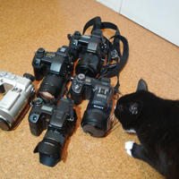 高二想要一个150-200元的ccd相机，父母却不同意，该怎么办？