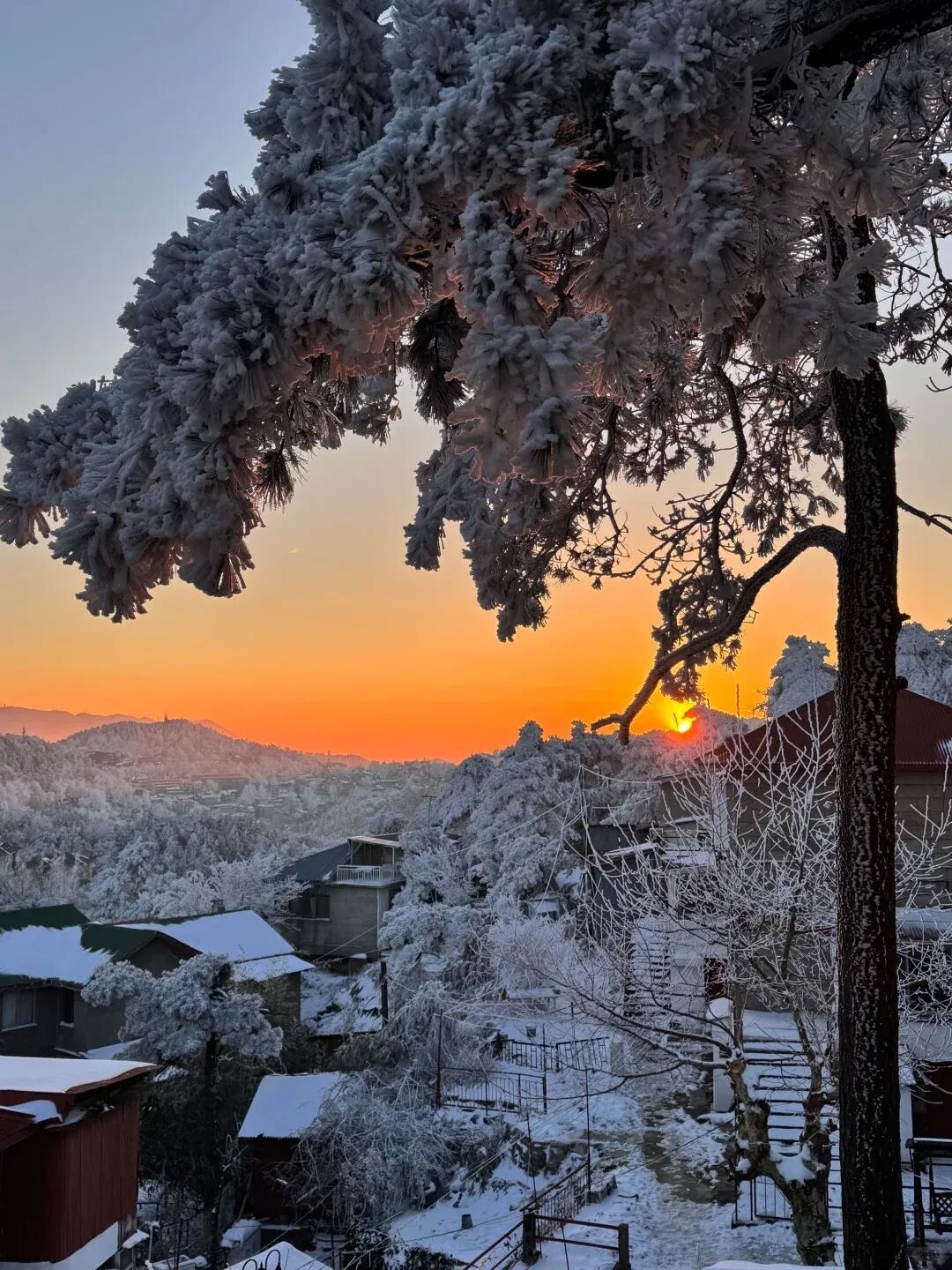 2月的庐山,藏着南方人最心动的冰雪仙境!