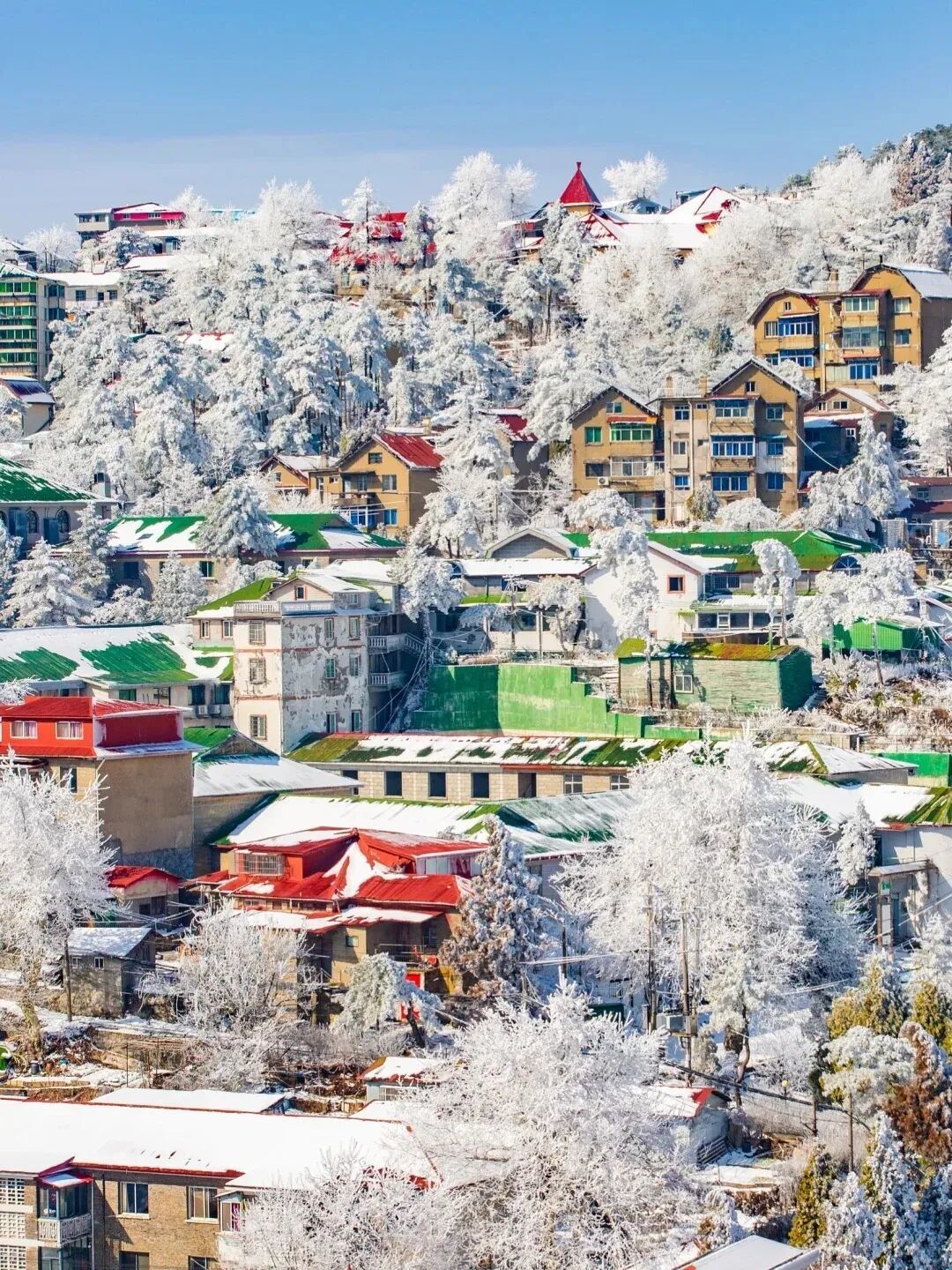 2月的庐山,藏着南方人最心动的冰雪仙境!