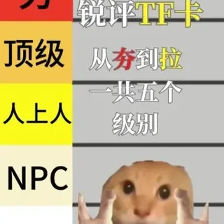 从夯到拉锐评TF内存卡 #锐评 #哈基米 #内存卡 #相机 #夯