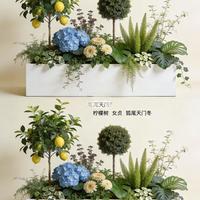 阳台变形记｜3㎡角落变身治愈系小森林