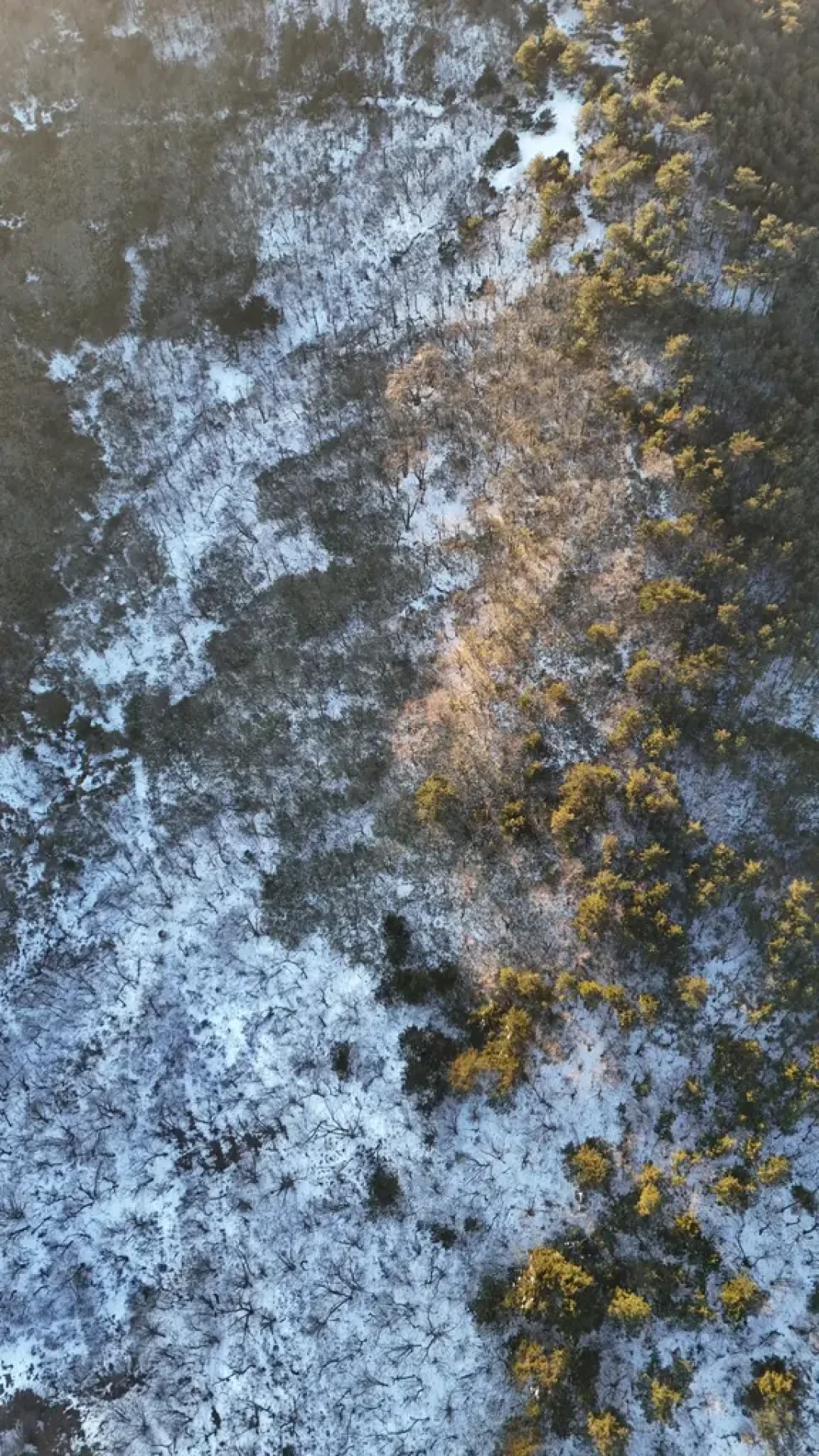 预警!百丈岭赏雪,这份徒步攻略请收好