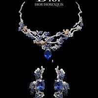 诗意梦境✨DIOR·高级珠宝系列🪻DIOREXQUIS❷