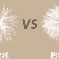 “羽绒服”新骗局曝光！你买的衣服很可能是假的，赶紧对照看看！