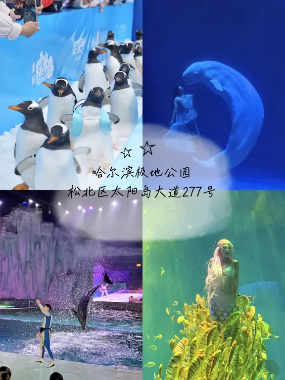 本地人推荐的哈尔滨3天2晚攻略!不走回头路!